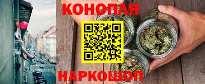 гашик Братск