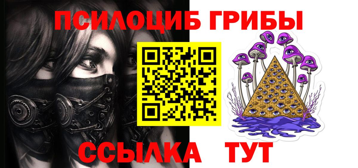 Астрахань  Галлюциногенные грибы Psilocybe  цена   Вход с VPN 